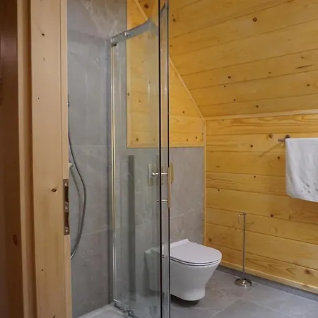 Organistowka * Rabka-Zdrój